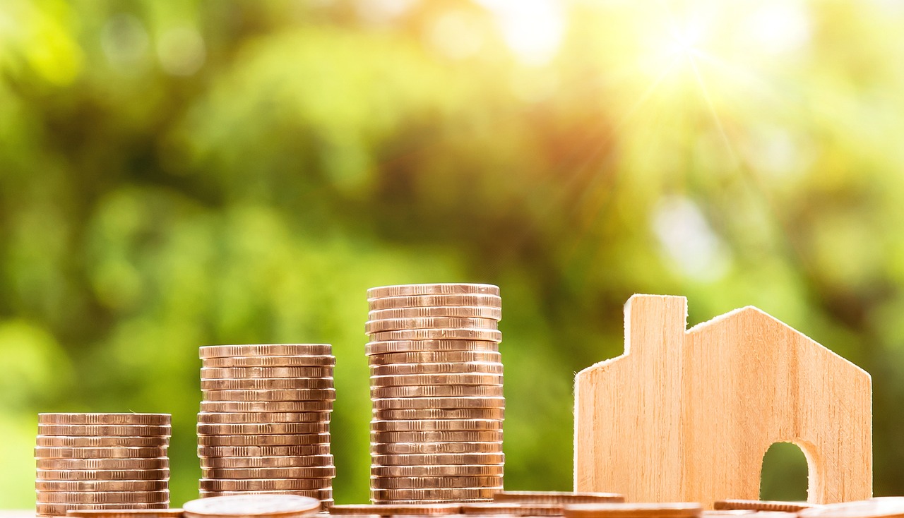 ¿Cuál es el precio de un avestruz?