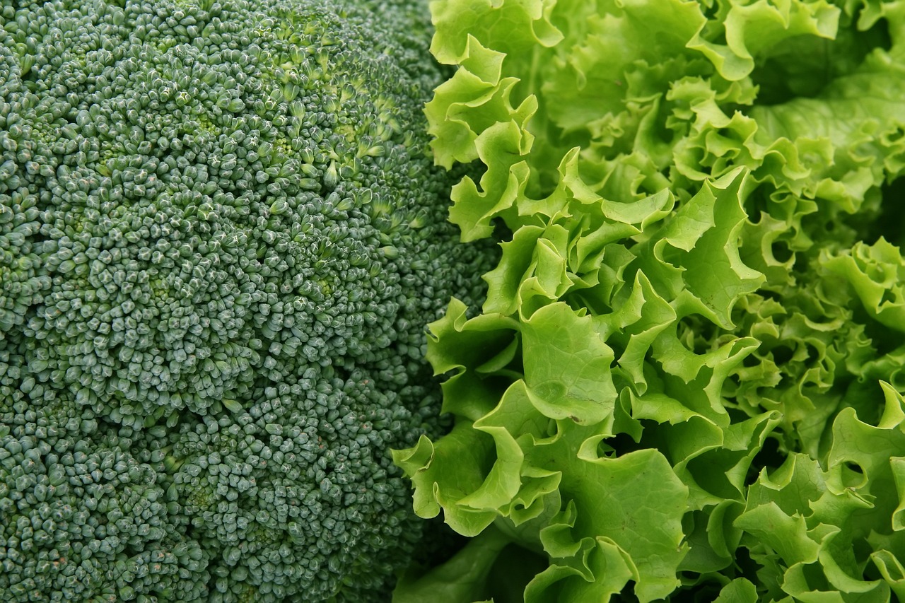 ¿Cuál es la ensalada que menos engorda?