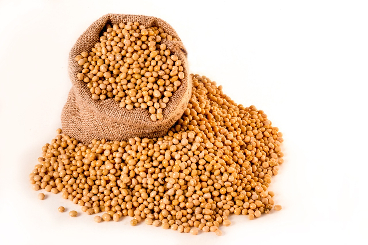 ¿Qué es el aceite de semillas?