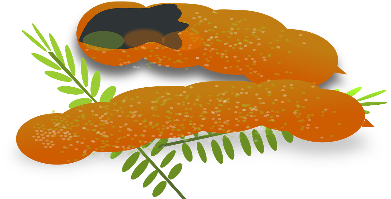 ¿Qué es el dulce de tamarindo?