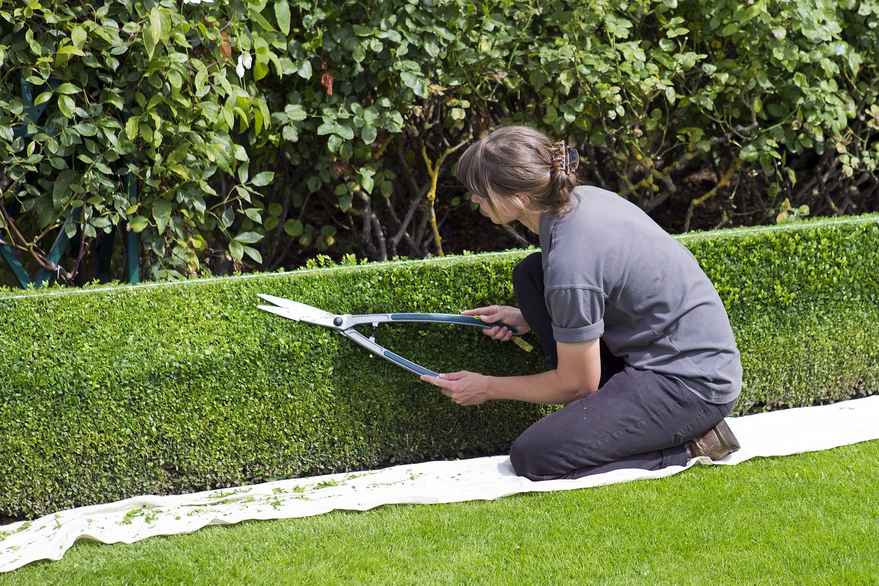 ¿Que tiene la jardinera?