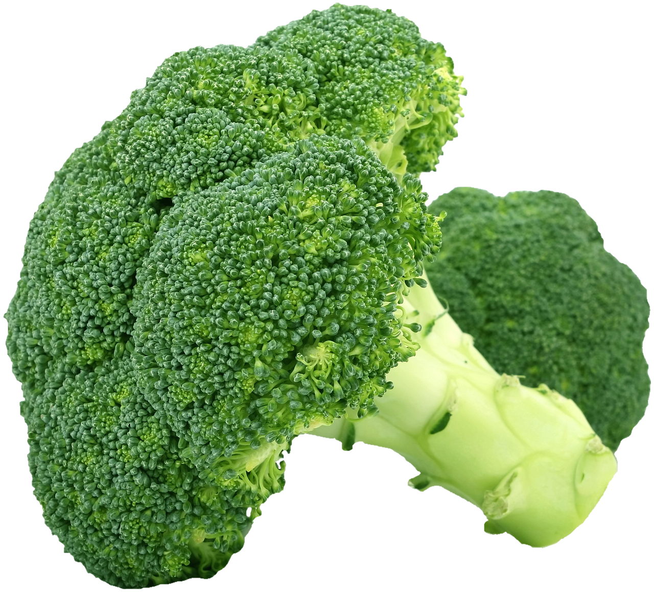 ¿Qué vegetales comer en la cena?