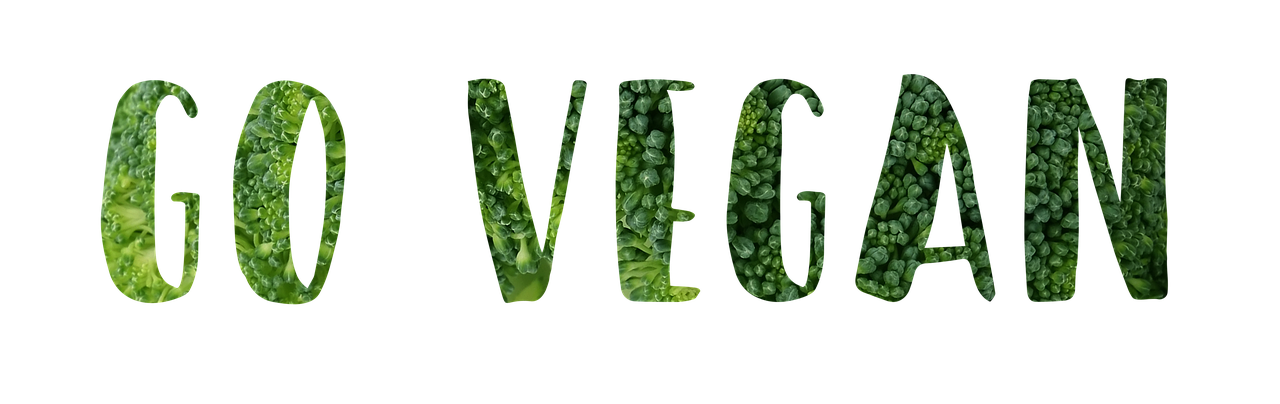 ¿Qué cacao es vegano?