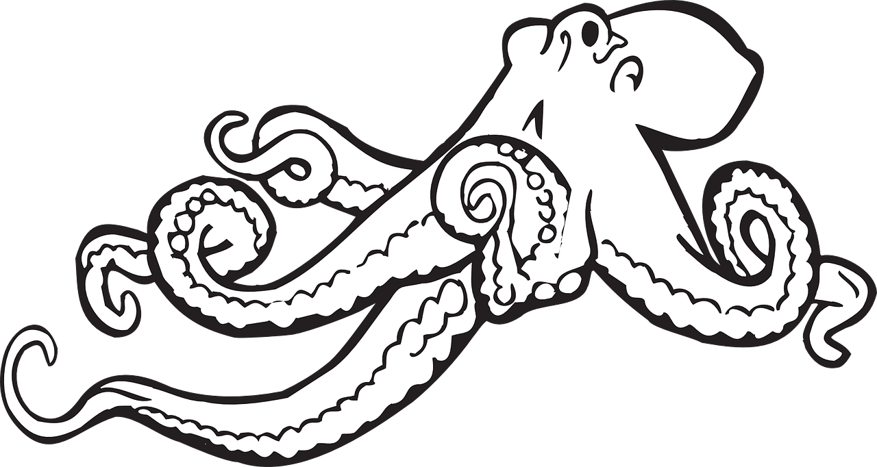 ¿Cuánto tiempo tiene que estar el pulpo en la olla express?