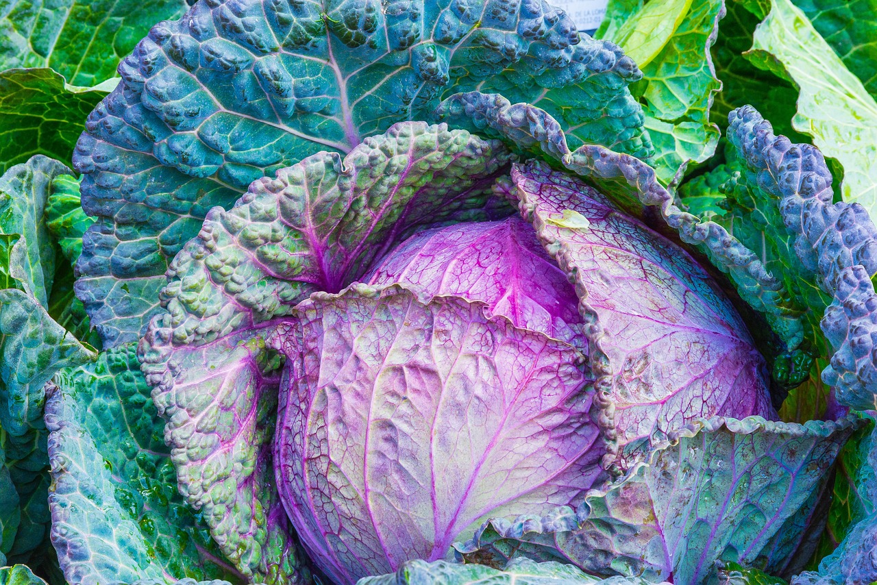 ¿Cuándo se puede dar brócoli a un bebé?