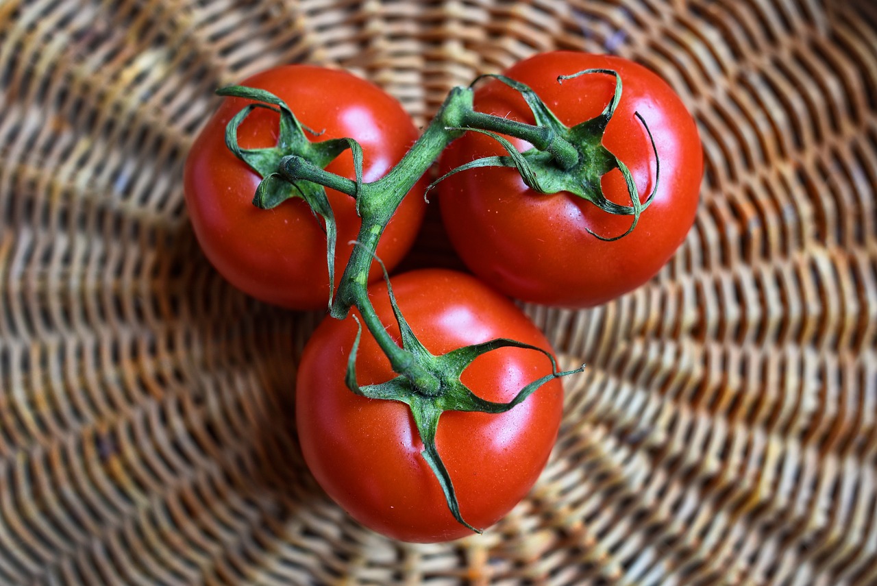 ¿Cómo guardar tomate en el congelador?