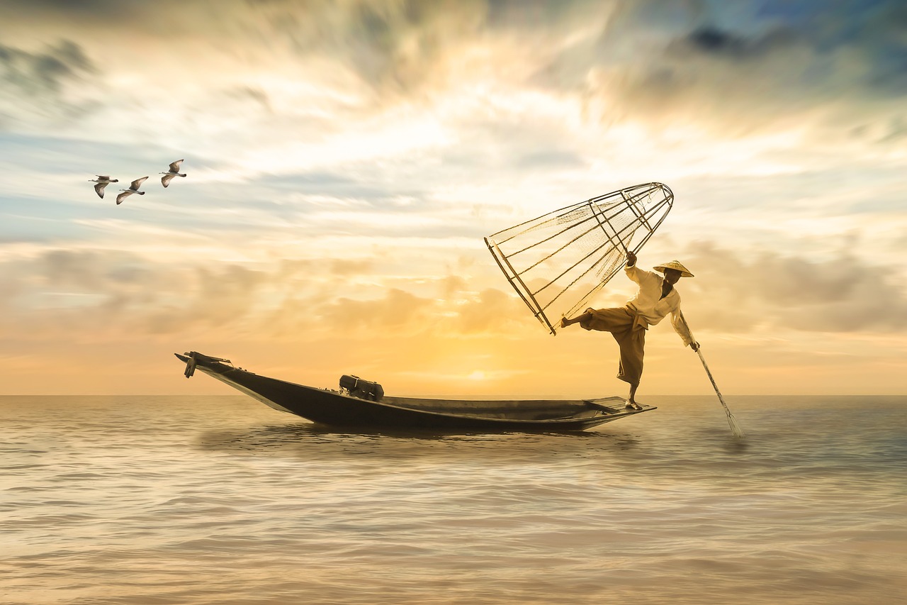 ¿Cuánto tiempo se debe hervir el pescado?