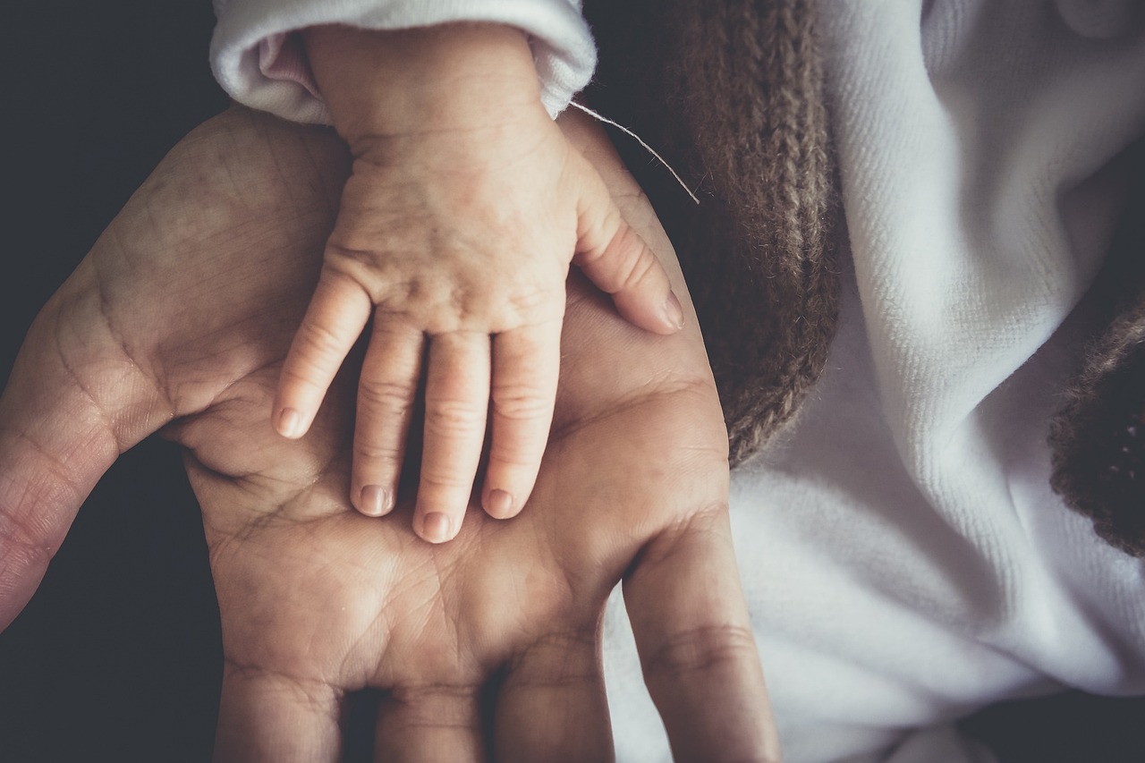¿Qué puede comer un niño de 1 a 2 años?