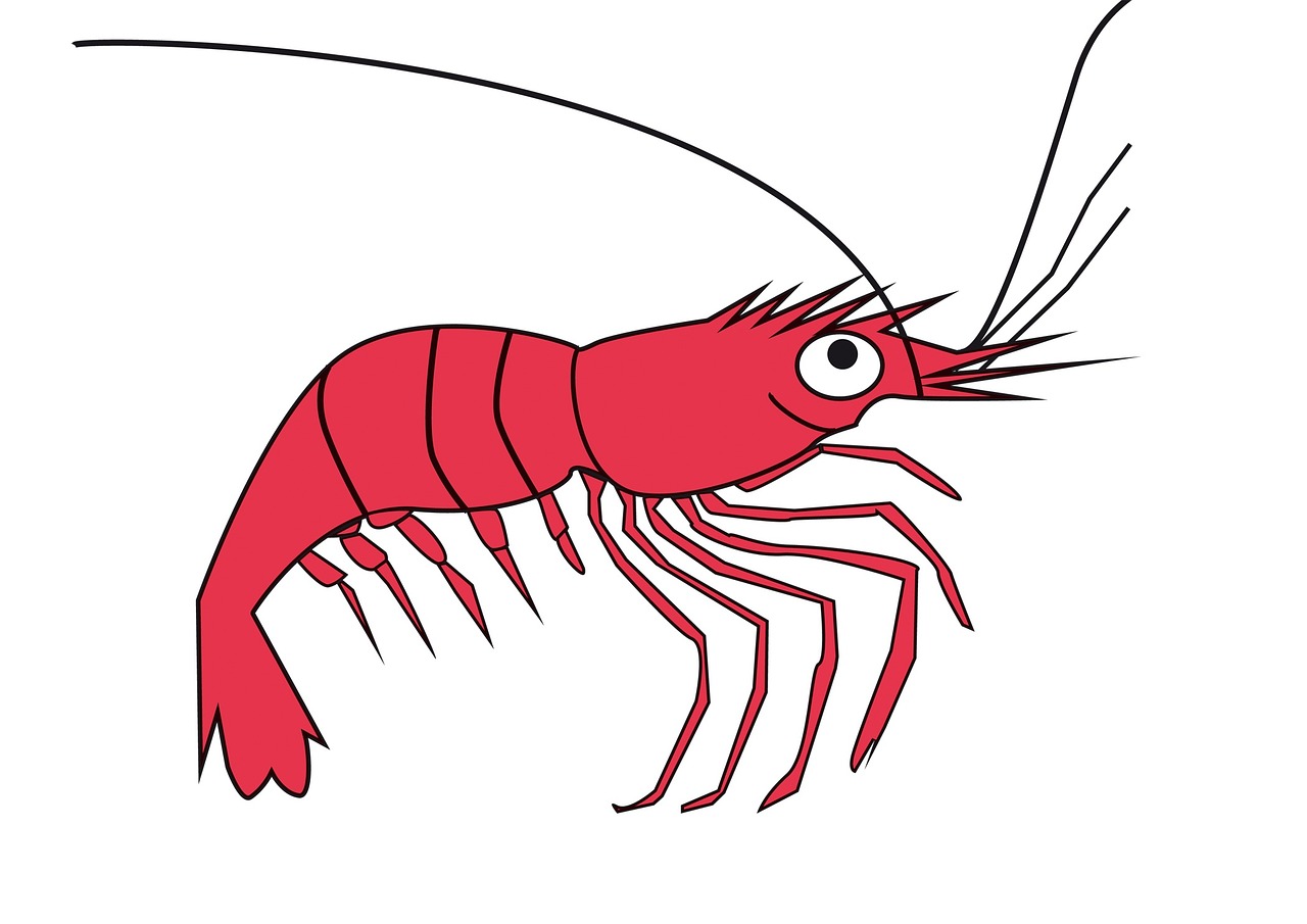 ¿Cuánto tiempo tienen que cocer las gambas?
