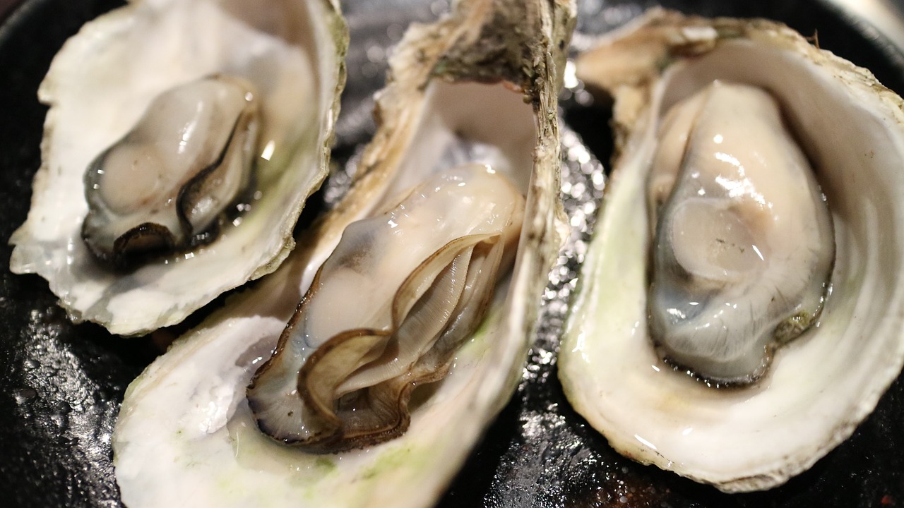 ¿Cómo se pueden comer las vieiras?